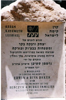 Rivka Bebczuk’s identification papers in Italy